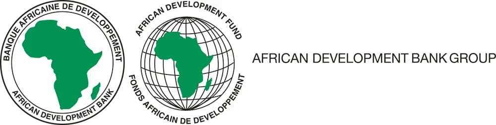 Banque Africaine de Développement, Youth Entrepreneurship & Innovation Fellowship